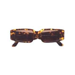 Óculos escuros Colorful Standard 05 classic havana/brown