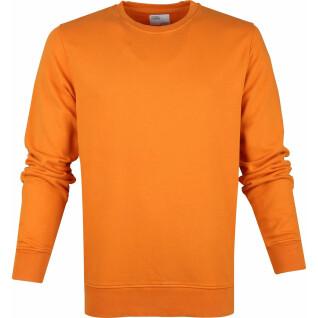 Sweatshirt pescoço redondo Colorful Standard Classic Organic burned orange