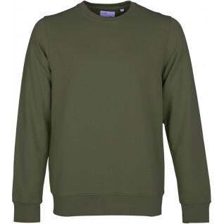 Sweatshirt pescoço redondo Colorful Standard Classic Organic seaweed green