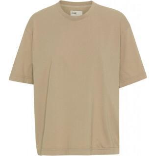 Camiseta feminina Colorful Standard Organic oversized oyster grey