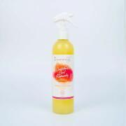 Spray hidratante para mulheres Les Secrets de Loly Cocktail Curl Remedy