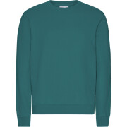Pullover Colorful Standard Classic Organic Ocean Green