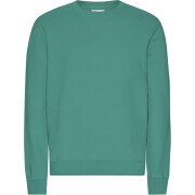 Pullover Colorful Standard Classic Organic Pine Green