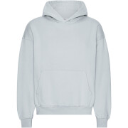 Sweatshirt com capuz de grandes dimensões Colorful Standard Organic Cloudy Grey