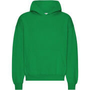 Sweatshirt com capuz de grandes dimensões Colorful Standard Organic Kelly Green