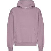 Sweatshirt com capuz de grandes dimensões Colorful Standard Organic Pearly Purple