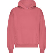Sweatshirt com capuz de grandes dimensões Colorful Standard Organic Raspberry Pink