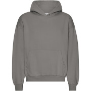 Sweatshirt com capuz de grandes dimensões Colorful Standard Organic Storm Grey