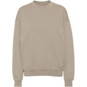 Sweatshirt pescoço redondo Colorful Standard Organic oversized oyster grey