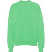 Sweatshirt pescoço redondo Colorful Standard Organic oversized spring green