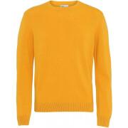 Saltador de lã com pescoço redondo Colorful Standard Classic Merino burned yellow