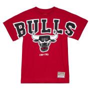 T-shirt de pescoço redondo feminino Chicago Bulls Blank
