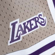 Calções para mulheres Los Angeles Lakers Mushroom 2023/24